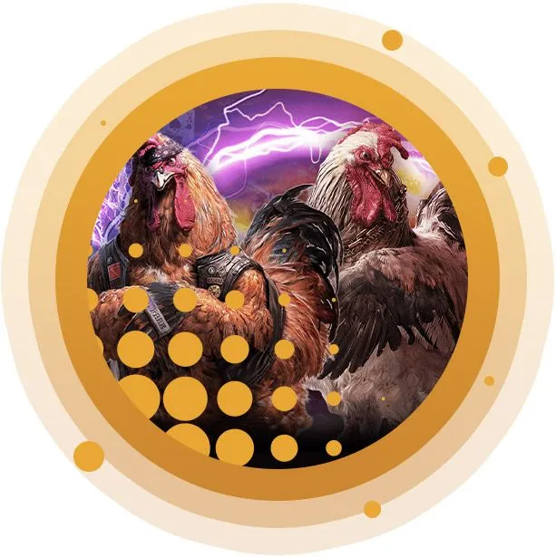 Cockfight-About-3